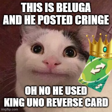 e | THIS IS BELUGA AND HE POSTED CRINGE; OH NO HE USED KING UNO REVERSE CARD | image tagged in funny memes | made w/ Imgflip meme maker