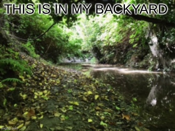  THIS IS IN MY BACKYARD | made w/ Imgflip meme maker