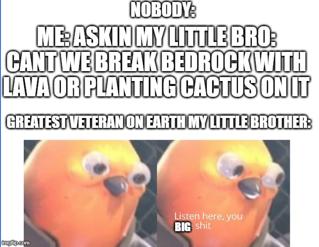 Listen here, you little shit | NOBODY:; ME: ASKIN MY LITTLE BRO:
CANT WE BREAK BEDROCK WITH LAVA OR PLANTING CACTUS ON IT; GREATEST VETERAN ON EARTH MY LITTLE BROTHER:; BIG | image tagged in listen here you little shit,funny memes,memes,brother,brothers | made w/ Imgflip meme maker