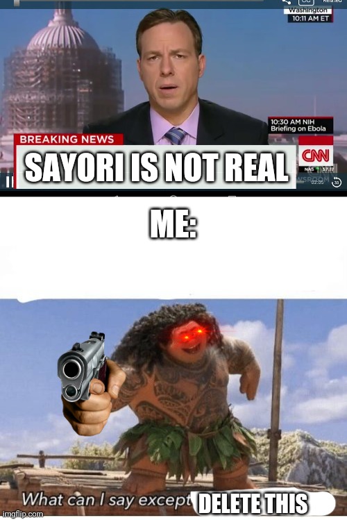 SAYORI IS NOT REAL; ME:; DELETE THIS | image tagged in cnn breaking news template,what can i say except you're welcome | made w/ Imgflip meme maker