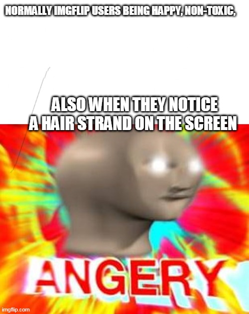 dont punch the screen sorryy | NORMALLY IMGFLIP USERS BEING HAPPY, NON-TOXIC, ALSO WHEN THEY NOTICE A HAIR STRAND ON THE SCREEN | image tagged in blank white template,surreal angery,hair | made w/ Imgflip meme maker
