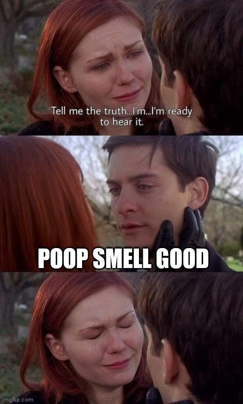 Poop smell good | POOP SMELL GOOD | image tagged in tell me the truth i'm ready to hear it,funny,memes,funny memes,spiderman,mary jane | made w/ Imgflip meme maker