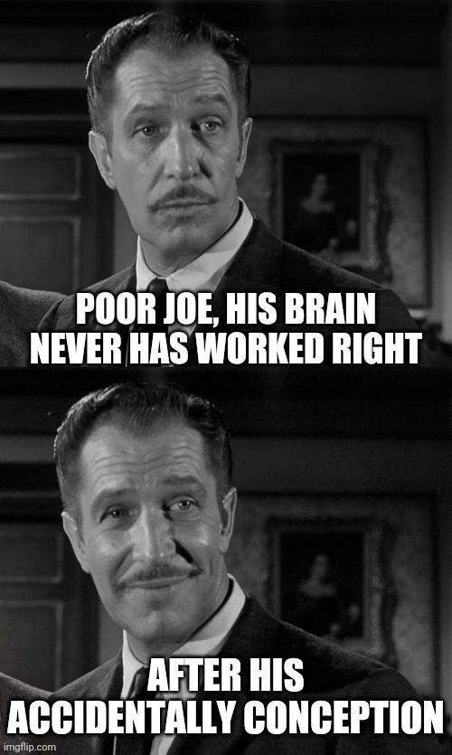 The Accident that started it All | POOR JOE, HIS BRAIN NEVER HAS WORKED RIGHT; AFTER HIS ACCIDENTALLY CONCEPTION | image tagged in vincent price,joe biden,drstrangmeme | made w/ Imgflip meme maker