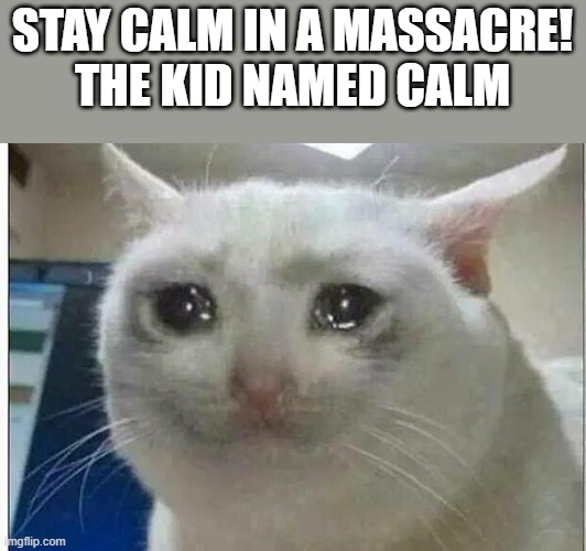 crying cat | STAY CALM IN A MASSACRE!
THE KID NAMED CALM | image tagged in crying cat | made w/ Imgflip meme maker