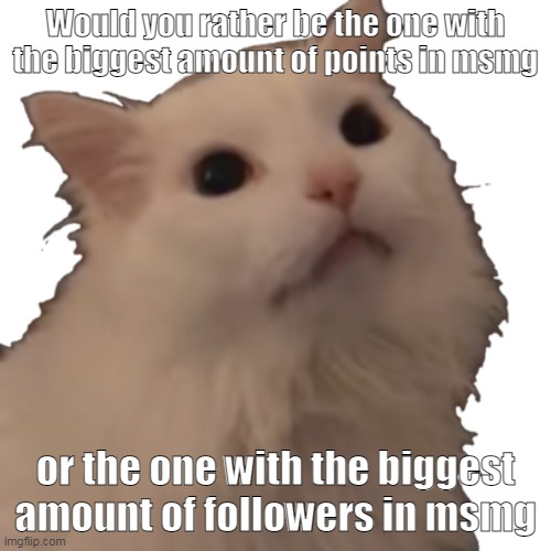 identity theft | Would you rather be the one with the biggest amount of points in msmg; or the one with the biggest amount of followers in msmg | image tagged in transparent thurston waffles | made w/ Imgflip meme maker