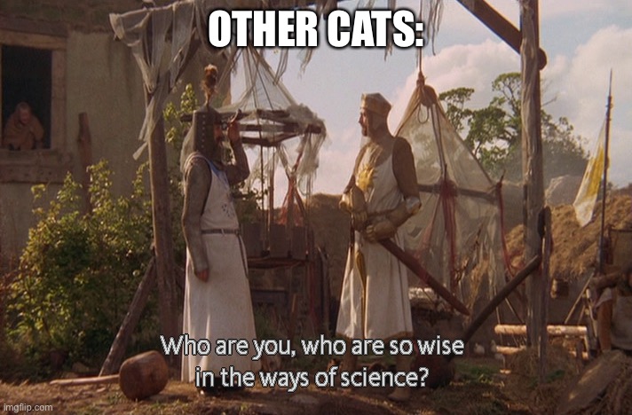 Who are you, so wise In the ways of science. | OTHER CATS: | image tagged in who are you so wise in the ways of science | made w/ Imgflip meme maker
