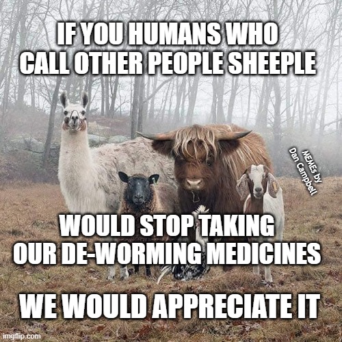 farm animal stare | IF YOU HUMANS WHO CALL OTHER PEOPLE SHEEPLE; MEMEs by Dan Campbell; WOULD STOP TAKING OUR DE-WORMING MEDICINES; WE WOULD APPRECIATE IT | image tagged in farm animal stare | made w/ Imgflip meme maker