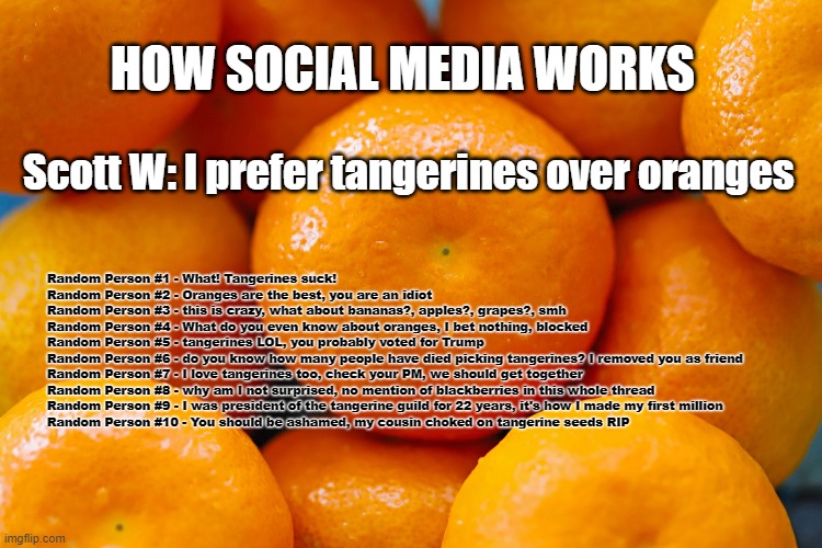 How Social Media Works | Random Person #1 - What! Tangerines suck!

Random Person #2 - Oranges are the best, you are an idiot

Random Person #3 - this is crazy, what about bananas?, apples?, grapes?, smh

Random Person #4 - What do you even know about oranges, I bet nothing, blocked

Random Person #5 - tangerines LOL, you probably voted for Trump

Random Person #6 - do you know how many people have died picking tangerines? I removed you as friend

Random Person #7 - I love tangerines too, check your PM, we should get together

Random Person #8 - why am I not surprised, no mention of blackberries in this whole thread

Random Person #9 - I was president of the tangerine guild for 22 years, it's how I made my first million

Random Person #10 - You should be ashamed, my cousin choked on tangerine seeds RIP; HOW SOCIAL MEDIA WORKS; Scott W: I prefer tangerines over oranges | image tagged in facebook,social media,opinion,funny | made w/ Imgflip meme maker