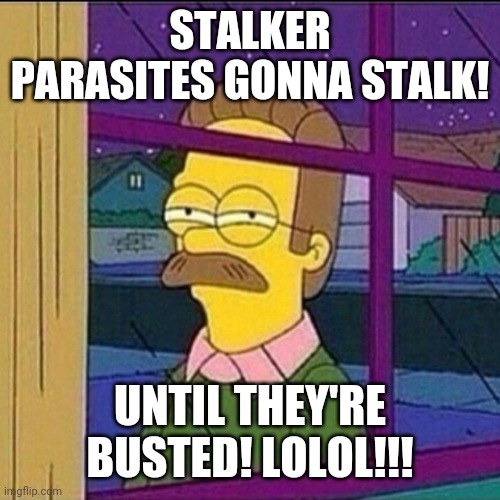 stalker | STALKER PARASITES GONNA STALK! UNTIL THEY'RE BUSTED! LOLOL!!! | image tagged in stalker | made w/ Imgflip meme maker