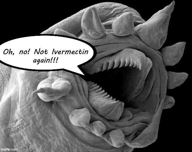 Ivermectin kills tapeworms. |  Oh, no! Not Ivermectin
again!!! | image tagged in ivermectin,tapeworm,sheeple | made w/ Imgflip meme maker