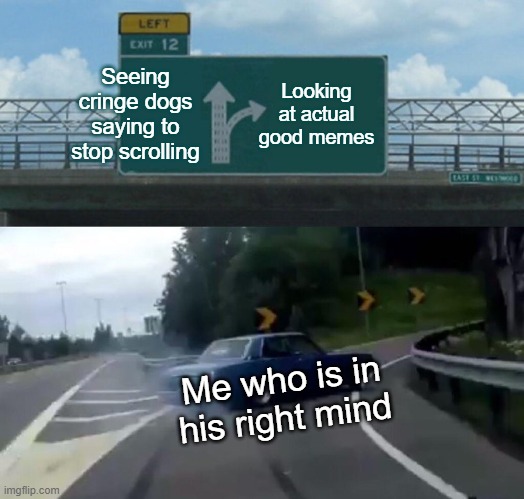 Bro, stop with the cringe dogs | Seeing cringe dogs saying to stop scrolling; Looking at actual good memes; Me who is in his right mind | image tagged in memes,left exit 12 off ramp | made w/ Imgflip meme maker