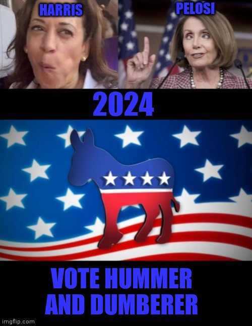 VOTE HUMMER AND DUMBERER | made w/ Imgflip meme maker