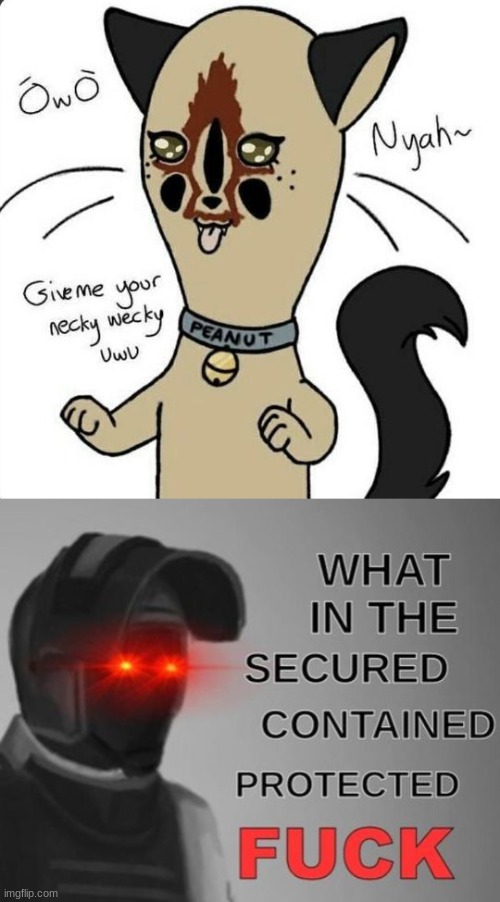 WHY | image tagged in what in the secured contained protected fuck,scp 173,peanut,furry,uwu,owo | made w/ Imgflip meme maker