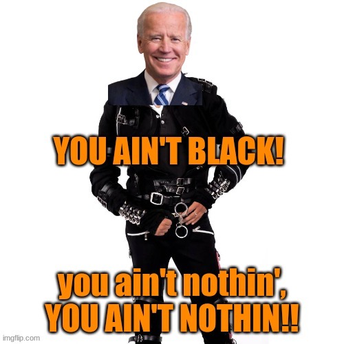 Idiot | image tagged in idiot,joe biden | made w/ Imgflip meme maker