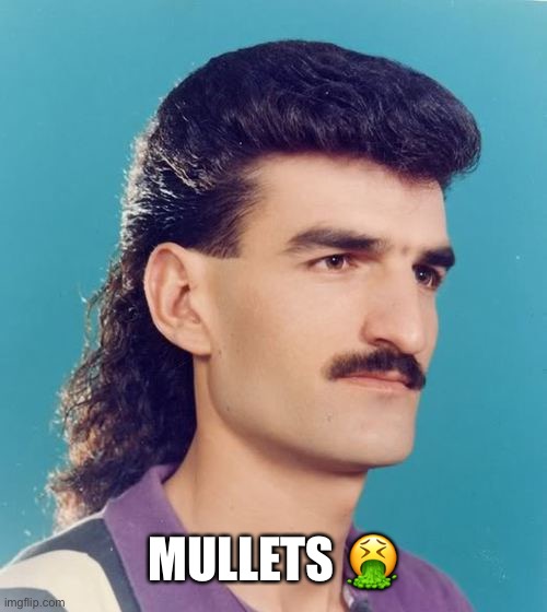 mullet  | MULLETS ? | image tagged in mullet | made w/ Imgflip meme maker