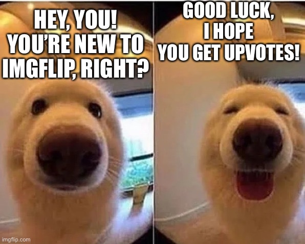 wholesome doggo | GOOD LUCK, I HOPE YOU GET UPVOTES! HEY, YOU! YOU’RE NEW TO IMGFLIP, RIGHT? | image tagged in wholesome doggo | made w/ Imgflip meme maker