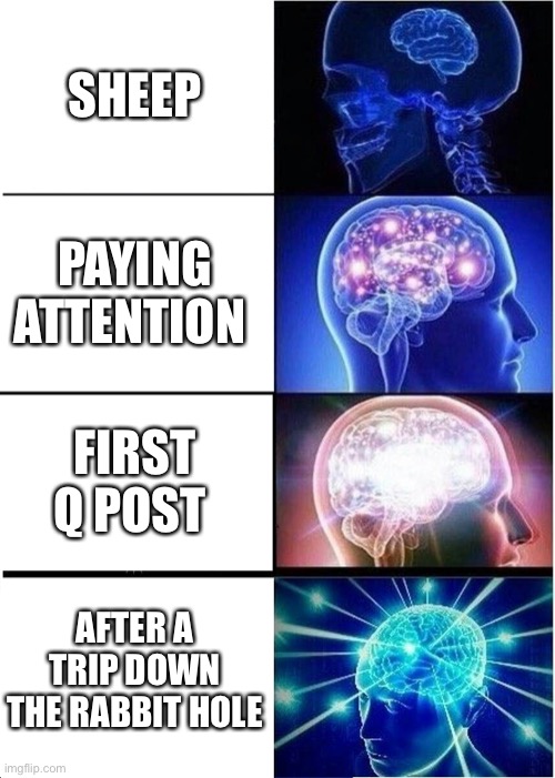 Expanding Brain Meme | SHEEP; PAYING ATTENTION; FIRST Q POST; AFTER A TRIP DOWN THE RABBIT HOLE | image tagged in memes,expanding brain | made w/ Imgflip meme maker