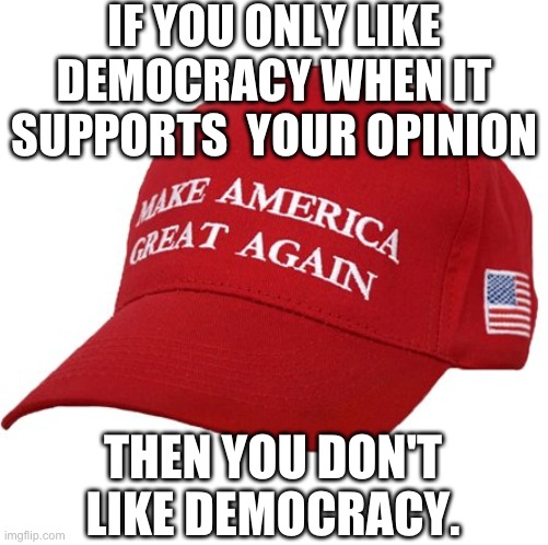 Wear a mask? This is literally 1984 the government must be trying to control us. | IF YOU ONLY LIKE DEMOCRACY WHEN IT SUPPORTS  YOUR OPINION; THEN YOU DON'T LIKE DEMOCRACY. | image tagged in maga hat | made w/ Imgflip meme maker