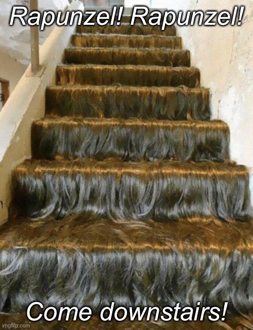 Hairy Stair-ies | Rapunzel! Rapunzel! Come downstairs! | image tagged in funny memes,bad design | made w/ Imgflip meme maker