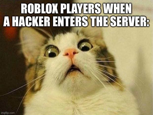 Scared Cat | ROBLOX PLAYERS WHEN A HACKER ENTERS THE SERVER: | image tagged in memes,scared cat | made w/ Imgflip meme maker