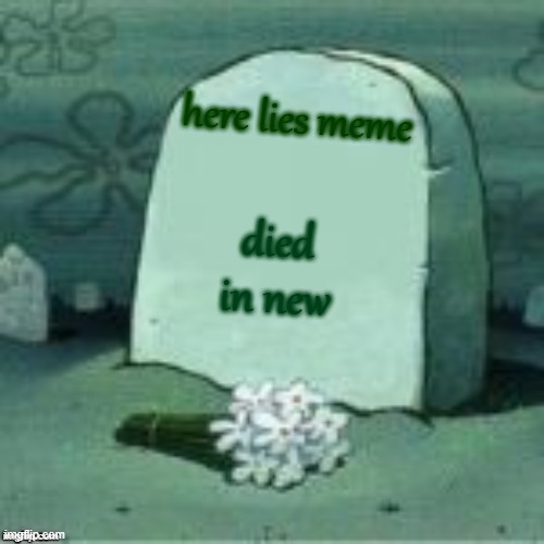 no title | here lies meme; died in new | image tagged in here lies x | made w/ Imgflip meme maker