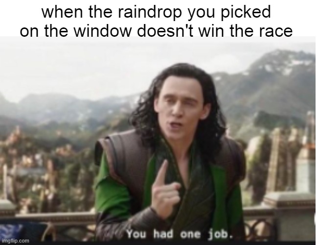 You had one job... | when the raindrop you picked on the window doesn't win the race | image tagged in you had one job,you had one job just the one,funny,oh wow are you actually reading these tags | made w/ Imgflip meme maker