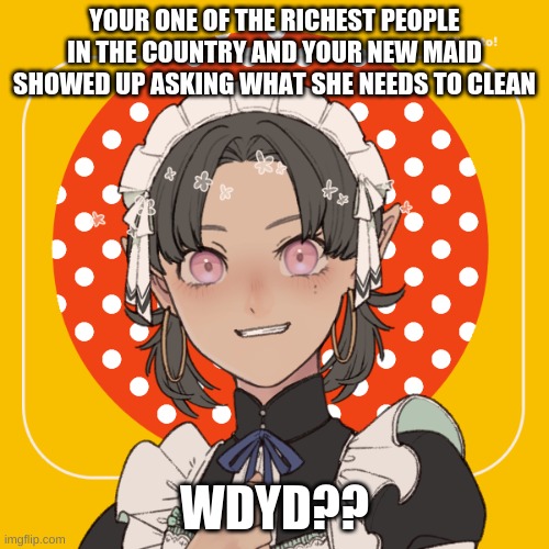 *<* | YOUR ONE OF THE RICHEST PEOPLE IN THE COUNTRY AND YOUR NEW MAID SHOWED UP ASKING WHAT SHE NEEDS TO CLEAN; WDYD?? | made w/ Imgflip meme maker