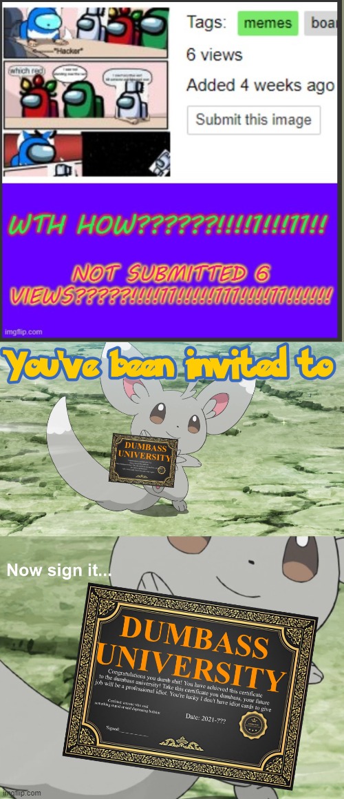 Everyone gets views if they submits their image or not | image tagged in you've been invited to dumbass university,views,wot | made w/ Imgflip meme maker
