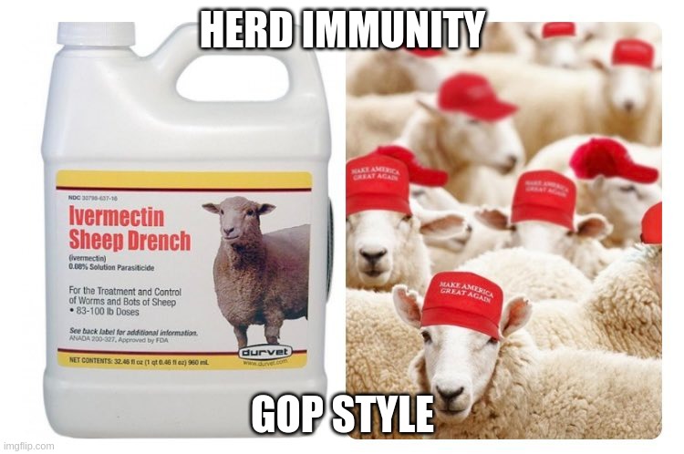 Herd immunity | HERD IMMUNITY; GOP STYLE | image tagged in gop,anti-vaxx,trumped,covid,idiots | made w/ Imgflip meme maker