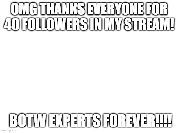 Thanks for 40 followers. BOTW CHAMPS FOREVER!! YAAAAAAAAAH! | OMG THANKS EVERYONE FOR 40 FOLLOWERS IN MY STREAM! BOTW EXPERTS FOREVER!!!! | image tagged in blank white template | made w/ Imgflip meme maker