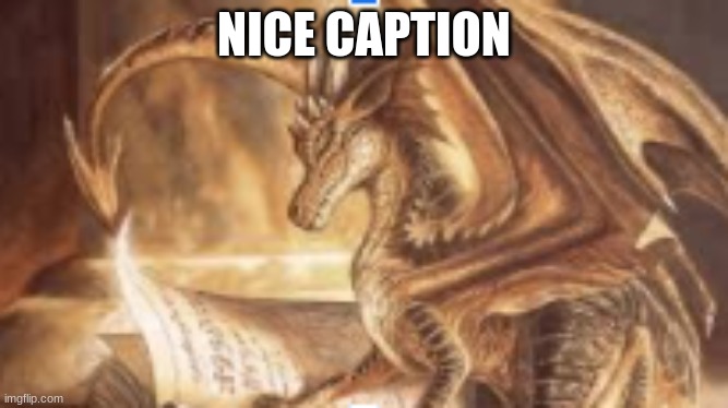 reading dragon | NICE CAPTION | image tagged in reading dragon | made w/ Imgflip meme maker