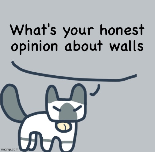 Cat | What's your honest opinion about walls | image tagged in cat | made w/ Imgflip meme maker