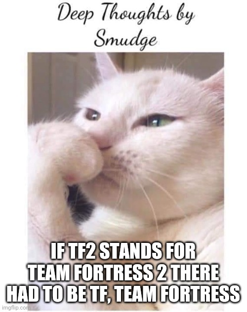 Deep-Thoughts-By-Smudge | IF TF2 STANDS FOR TEAM FORTRESS 2 THERE HAD TO BE TF, TEAM FORTRESS | image tagged in deep-thoughts-by-smudge | made w/ Imgflip meme maker