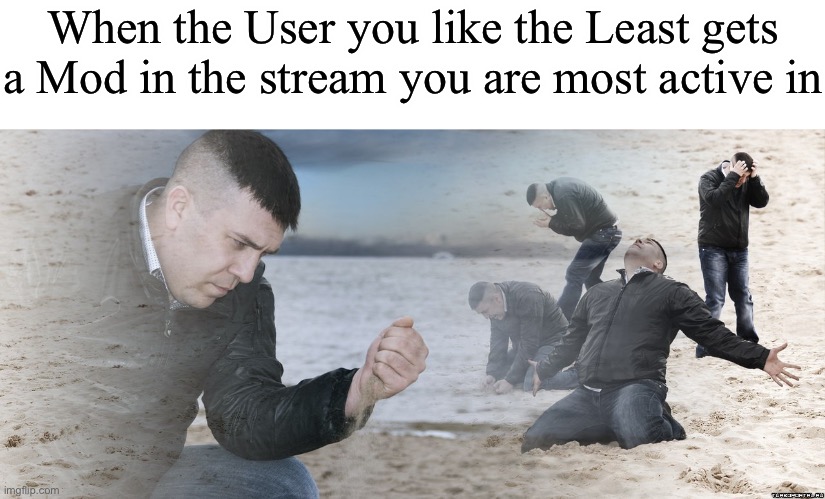 Adios- | When the User you like the Least gets a Mod in the stream you are most active in | image tagged in guy with sand in the hands of despair | made w/ Imgflip meme maker