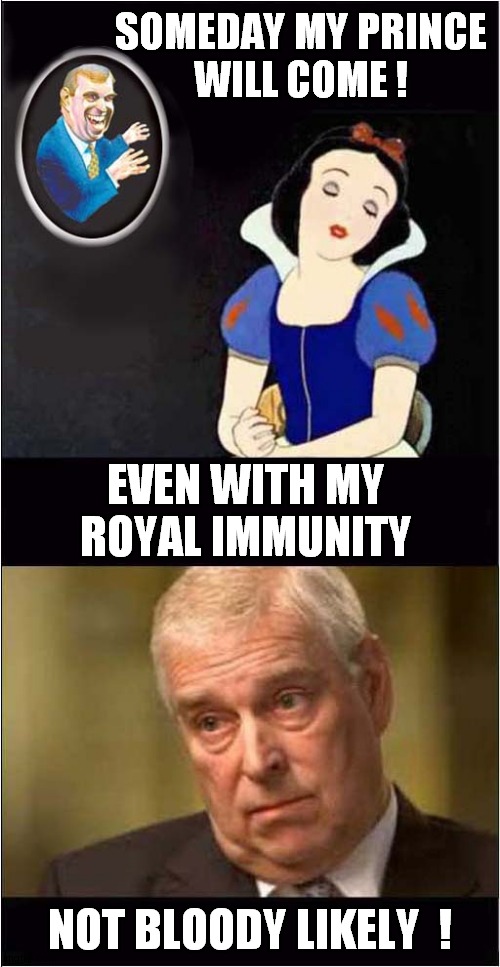 Not Coming To America ! | SOMEDAY MY PRINCE
WILL COME ! EVEN WITH MY ROYAL IMMUNITY; NOT BLOODY LIKELY  ! | image tagged in snow white,prince andrew,royal immunity,dark humour | made w/ Imgflip meme maker