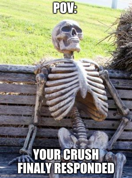 Waiting Skeleton Meme | POV:; YOUR CRUSH FINALY RESPONDED | image tagged in memes,waiting skeleton | made w/ Imgflip meme maker