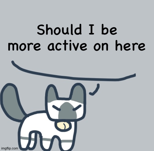 Cat | Should I be more active on here | image tagged in cat | made w/ Imgflip meme maker