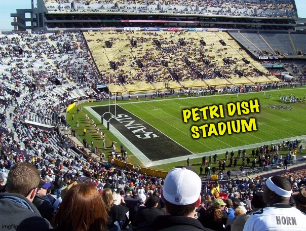 PETRI DISH
STADIUM | made w/ Imgflip meme maker