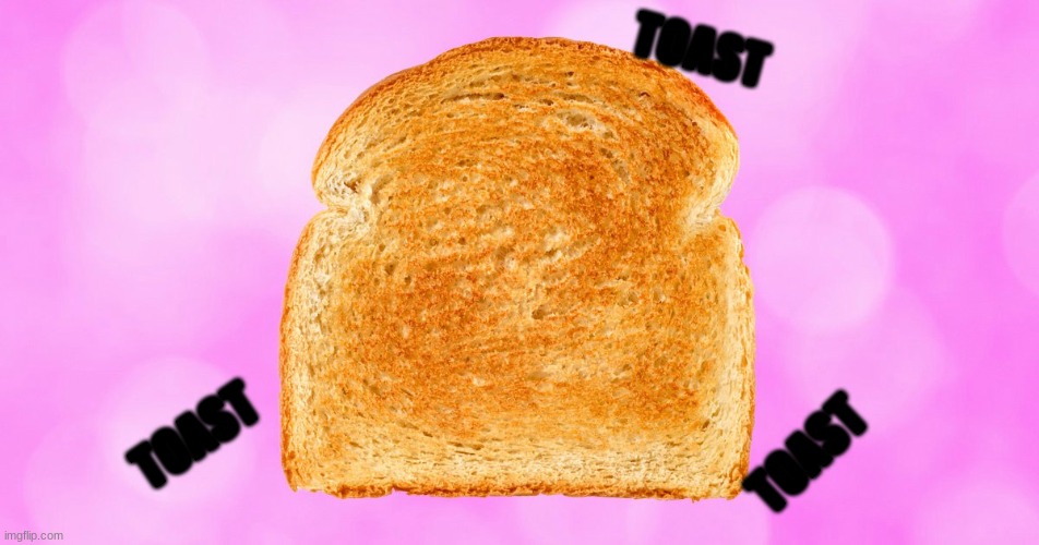 Toast | TOAST; TOAST; TOAST | image tagged in toast | made w/ Imgflip meme maker