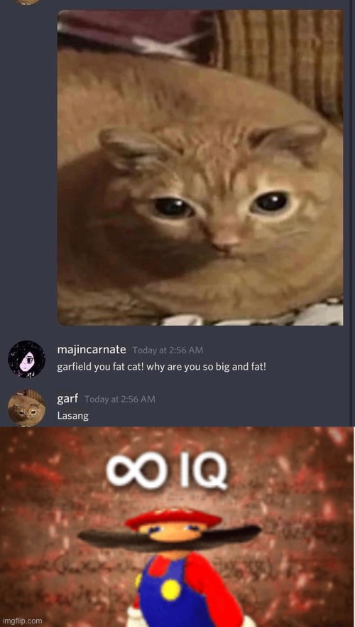 image tagged in infinite iq,funny,memes | made w/ Imgflip meme maker