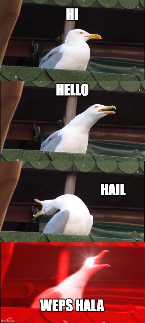 english be like | HI; HELLO; HAIL; WEPS HALA | image tagged in memes,inhaling seagull | made w/ Imgflip meme maker