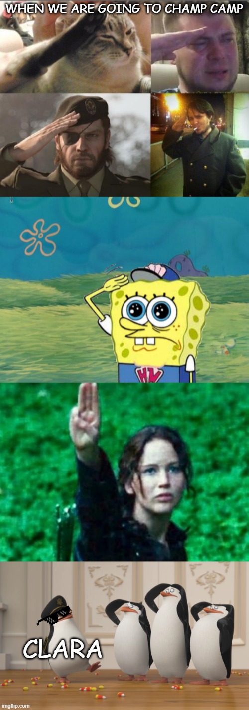 lol rip | WHEN WE ARE GOING TO CHAMP CAMP; CLARA | image tagged in ozon's salute,spongebob salute,katniss salute,saluting skipper | made w/ Imgflip meme maker