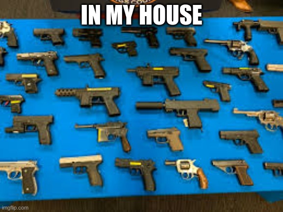 guns | IN MY HOUSE | image tagged in guns | made w/ Imgflip meme maker