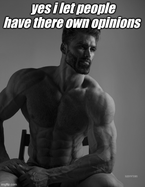 Giga Chad | yes i let people have there own opinions | image tagged in giga chad | made w/ Imgflip meme maker