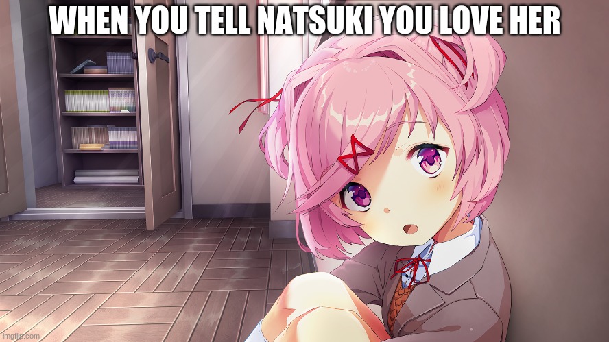 You love natsuki |  WHEN YOU TELL NATSUKI YOU LOVE HER | image tagged in ddlc | made w/ Imgflip meme maker
