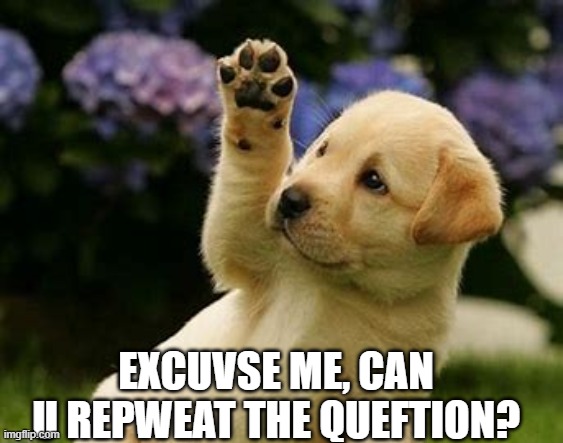 puppy | EXCUVSE ME, CAN U REPWEAT THE QUEFTION? | image tagged in dog,puppy | made w/ Imgflip meme maker