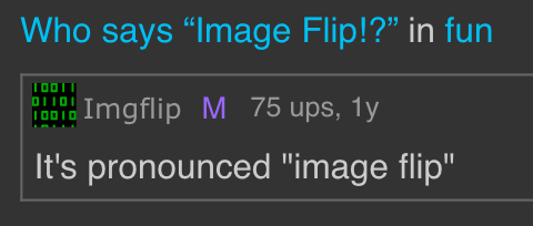 It’s pronounced image flip Blank Meme Template