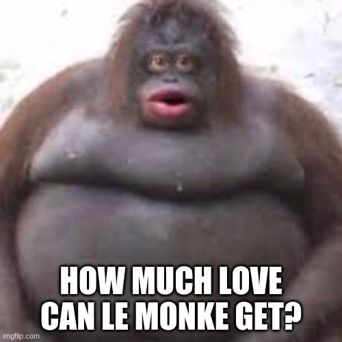 HOW MUCH LOVE CAN LE MONKE GET? | image tagged in monke,le monke | made w/ Imgflip meme maker