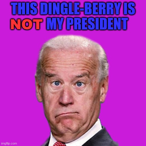 Stupid biden | THIS DINGLE-BERRY IS            MY PRESIDENT; NOT | image tagged in pathetic sad loser idiot worthless goofed president biden | made w/ Imgflip meme maker