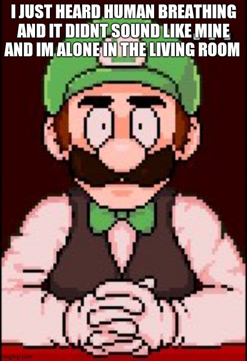 Speechless Luigi | I JUST HEARD HUMAN BREATHING AND IT DIDNT SOUND LIKE MINE AND IM ALONE IN THE LIVING ROOM | image tagged in speechless luigi | made w/ Imgflip meme maker